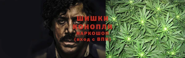 ешки Алзамай