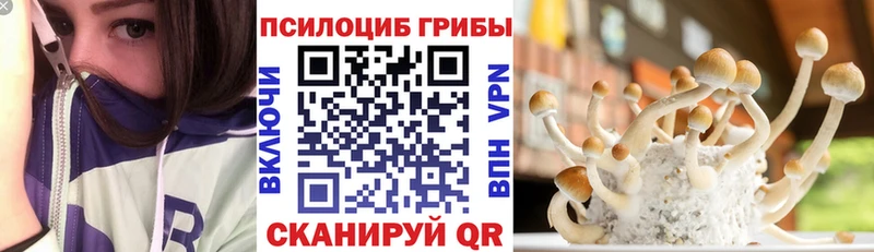 Псилоцибиновые грибы MAGIC MUSHROOMS блэк спрут вход Южно-Сухокумск
